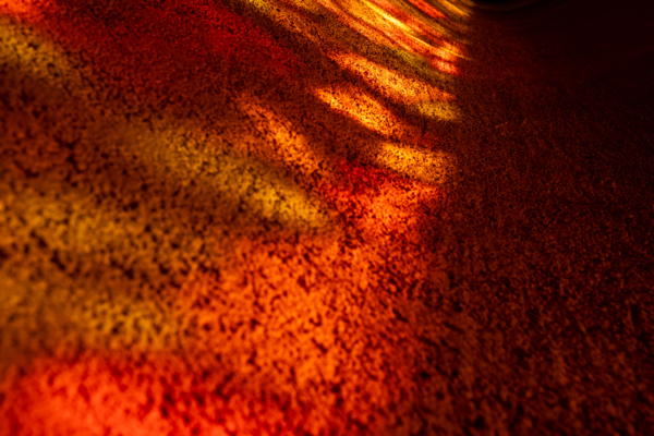 Suy niệm Chúa nhật I Mùa Vọng | Thầy Matthew