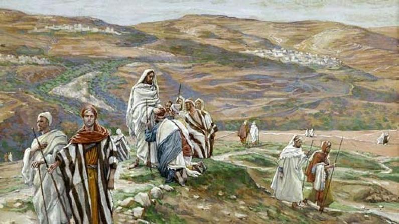 Hiệp sống Tin mừng: Chúa nhật 14 Thường niên năm C