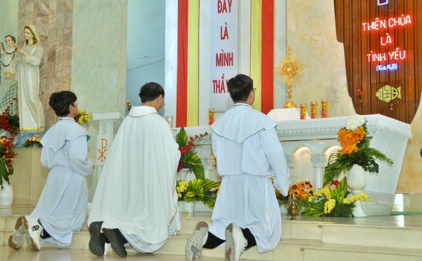 Giáo xứ Tân Trang: Chầu Mình Thánh Chúa thay Giáo phận