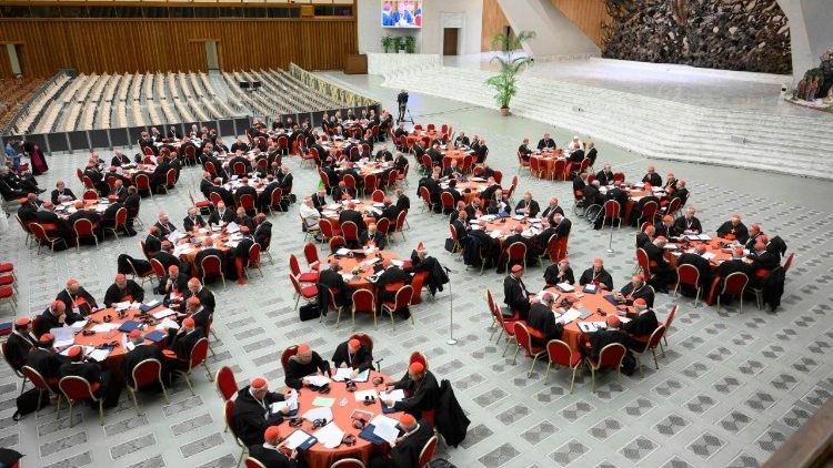 Công nghị Hồng y tập trung vào tình hình thế giới, Magnifica Humanitas và Thượng Hội đồng