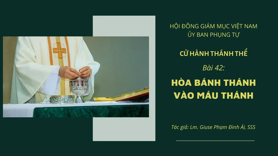 Cử hành Thánh Thể: Bài 42 – Hòa Bánh Thánh Vào Máu