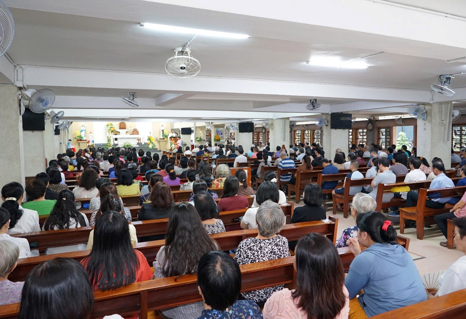 Giáo xứ Phát Diệm: Thánh lễ kính trọng thể Các Thánh Nam Nữ