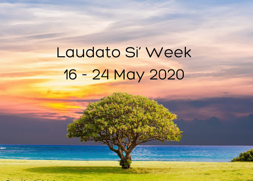 Tuần lễ Laudato Si’ (giữa tháng 5) và sự hoán cải của mùa Chay