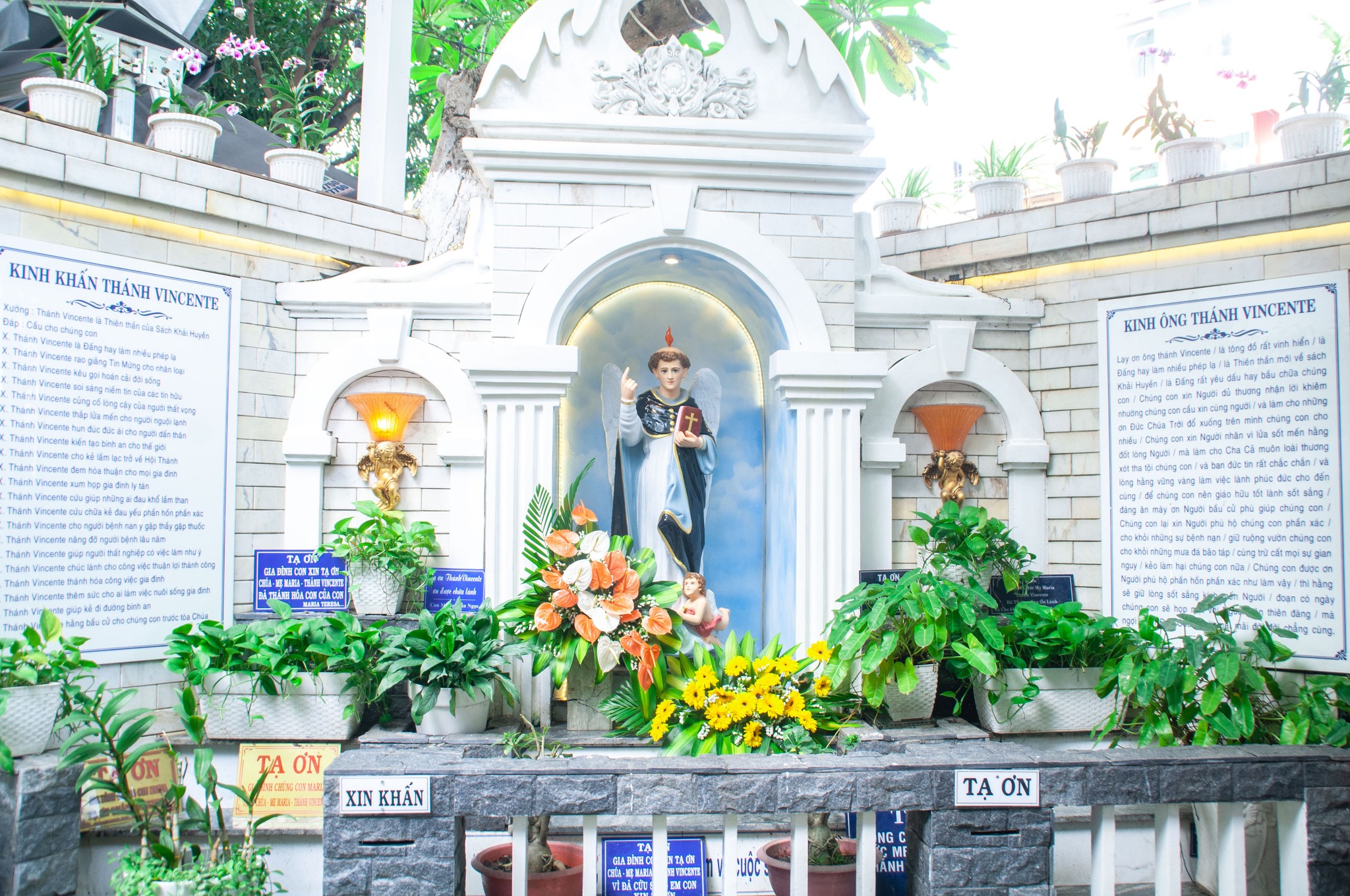 Thánh lễ hành hương và tạ ơn tại Đền Thánh Vincente - 5.11.2025