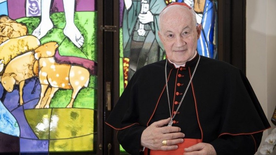 Đức Hồng y Ouellet: Truyền chức linh mục cho người có gia đình không phải là giải pháp