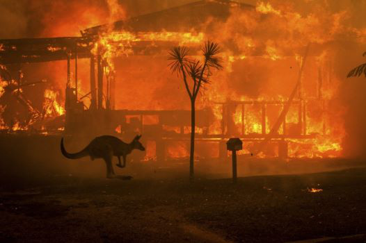 ĐTC Phanxicô cầu nguyện cho nạn nhân tai nạn máy bay ở Iran và đám cháy ở Úc
