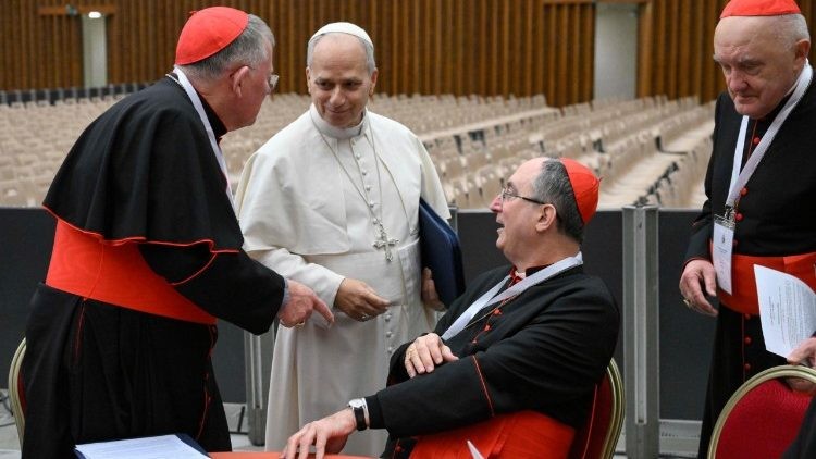 Đức Lêô XIV: Sẽ có một Công nghị nữa vào tháng Sáu - chúng ta sẽ tổ chức mỗi năm