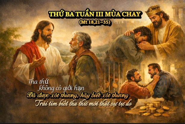 Đã được xót thương, hãy biết xót thương