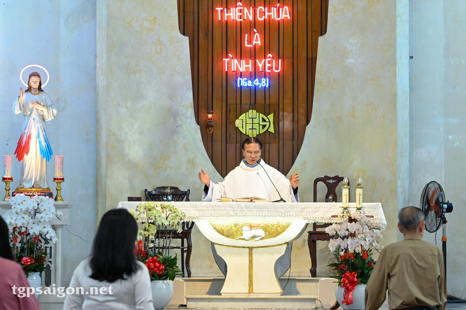 Giáo xứ Tân Trang: Thánh lễ mừng kính Đức Mẹ Lộ Đức 2023