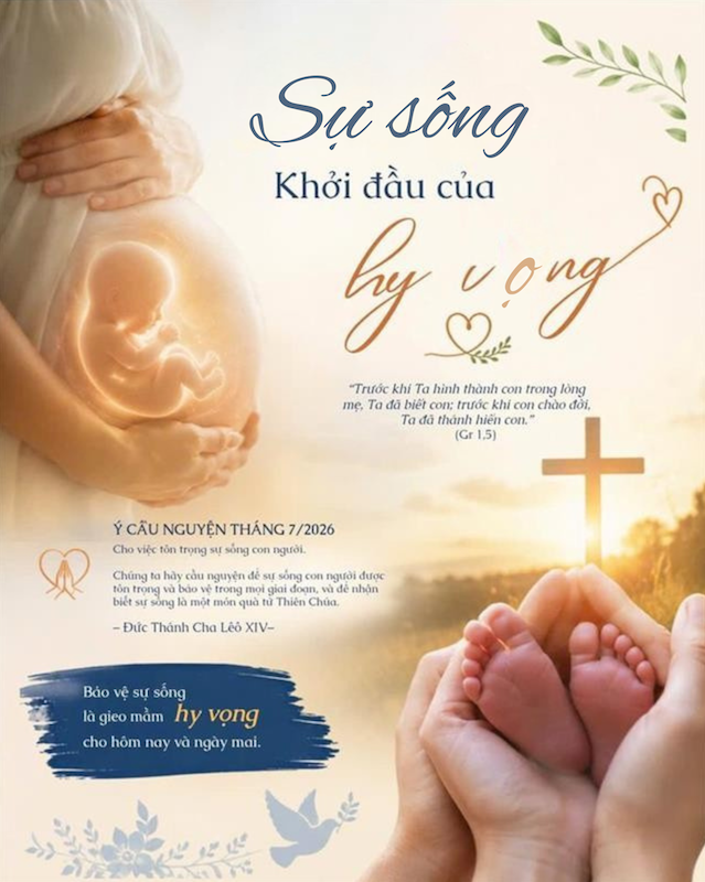 Sự sống – Khởi đầu của hy vọng