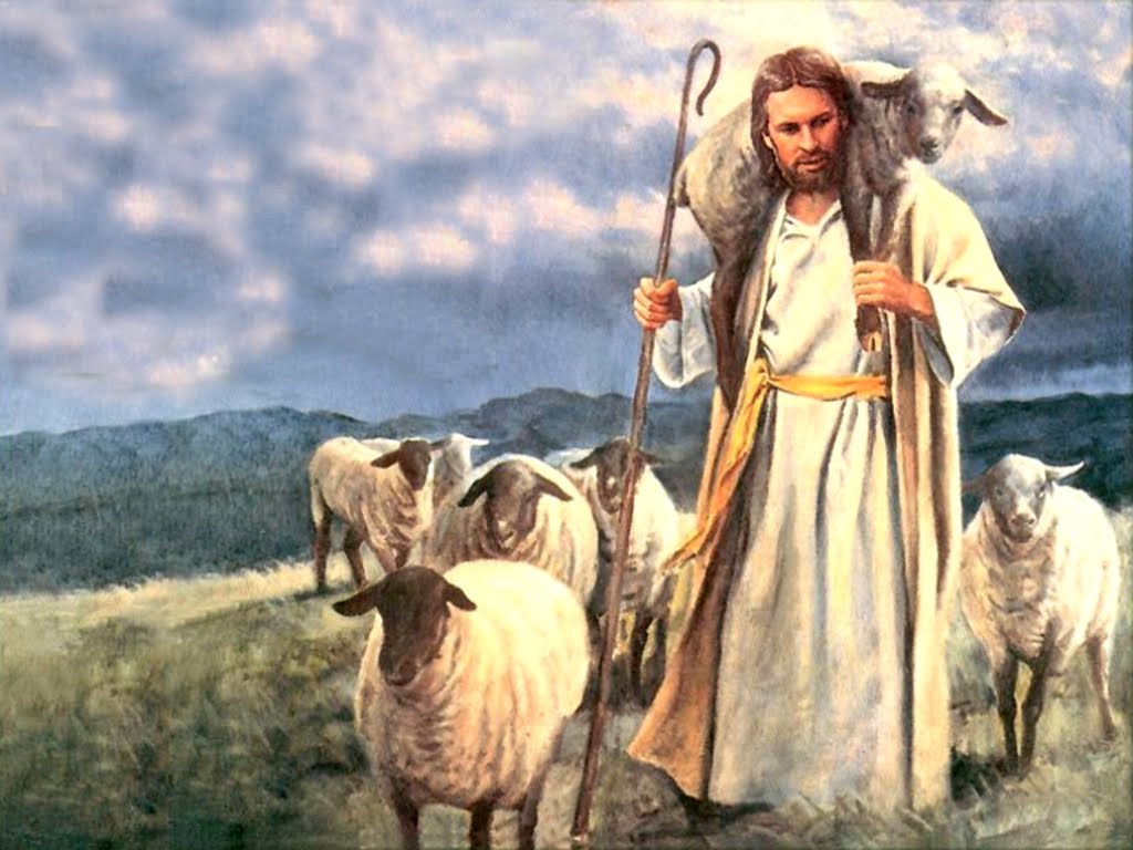 Chúa nhật 4 Phục sinh năm A - Lễ Chúa Chiên Lành (Ga 10,1-10)