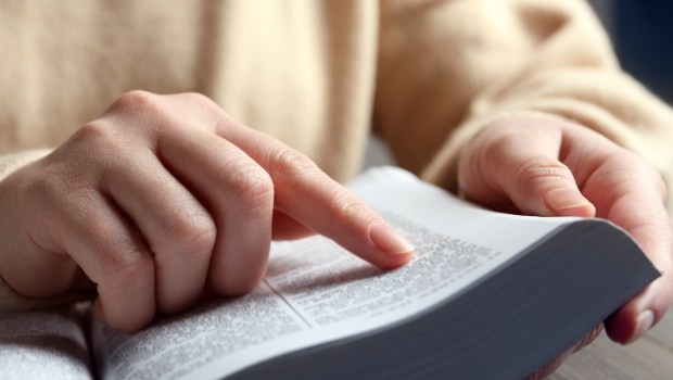 Bản dịch Kinh Thánh tiếng Anh mới sẽ được gọi là “Catholic American Bible”