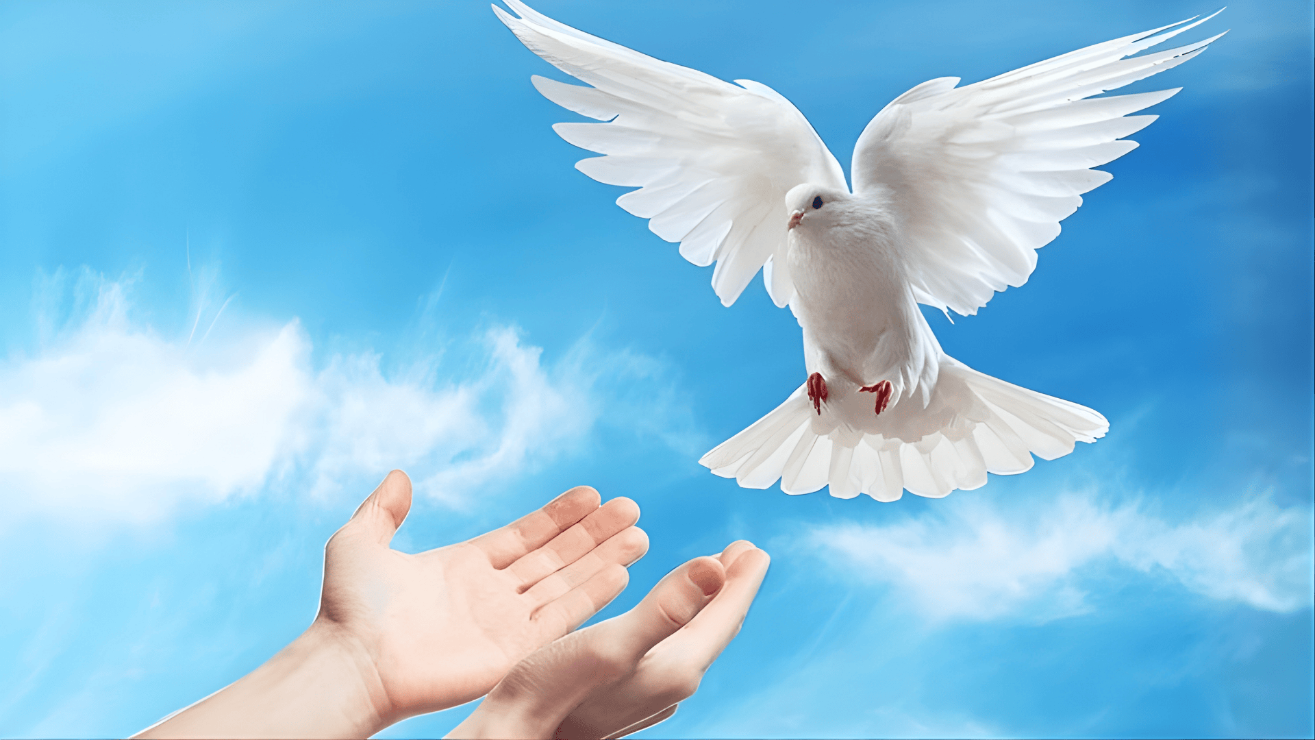 Bài giảng Chúa nhật: Chúa nhật 6 Phục sinh năm A