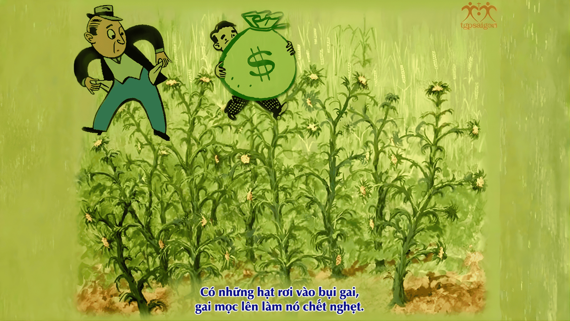 Bài giảng Chúa nhật: Chúa nhật 15 Thường niên năm A