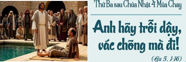 Tại sao phải vác chõng mà đi?