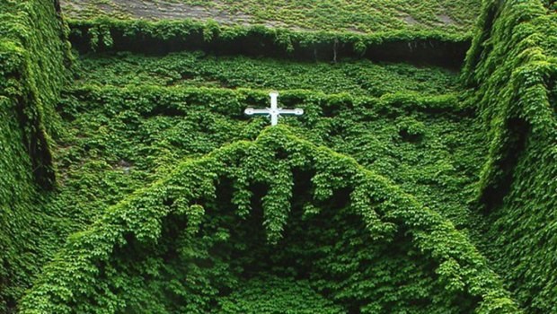 Laudato si’: Ý nghĩa đích thực của sinh thái toàn diện
