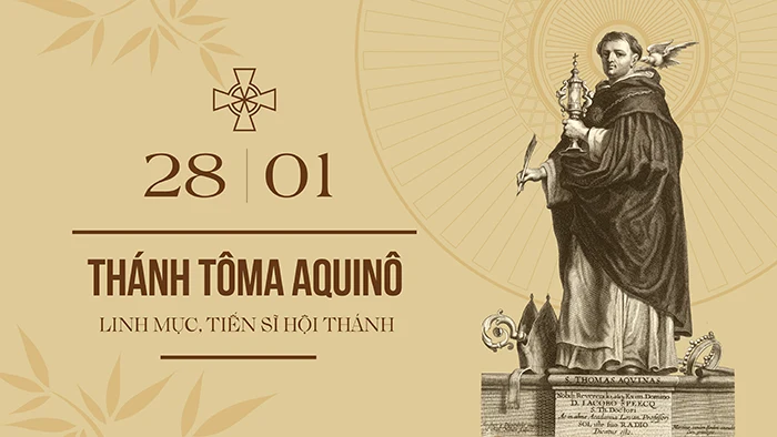 Ngày 28/01: Thánh Thomas D'Aquin (Tôma Aquinô) - Linh mục, tiến sĩ hội thánh