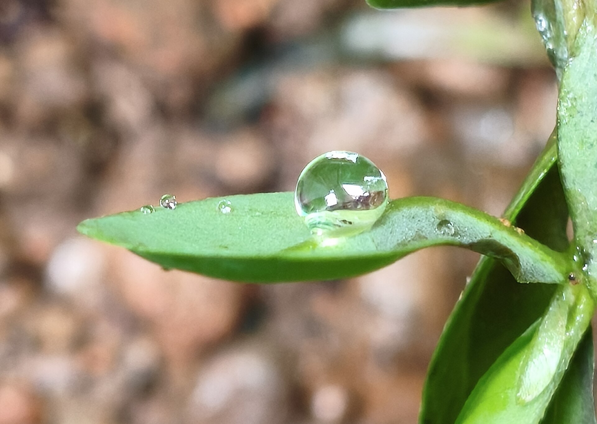 Nước: món quà quý giá cho mọi người