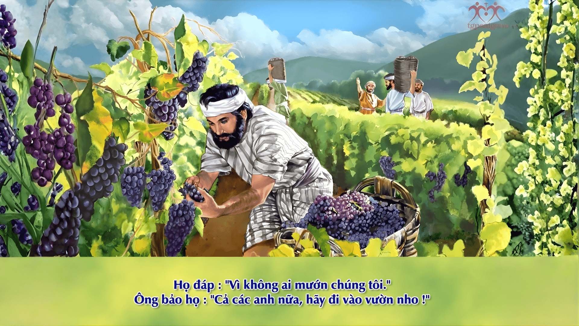 Bài giảng Chúa nhật: Chúa nhật 25 Thường niên năm A