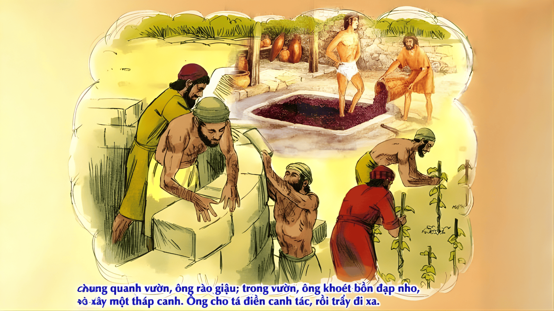 Bài giảng Chúa nhật: Chúa nhật 27 Thường niên năm A