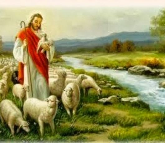 Phụng vụ Lời Chúa: Chúa Nhật IV Mùa Phục Sinh - năm A (Chúa nhật Chúa Chiên Lành, cầu cho Ơn Thiên Triệu)