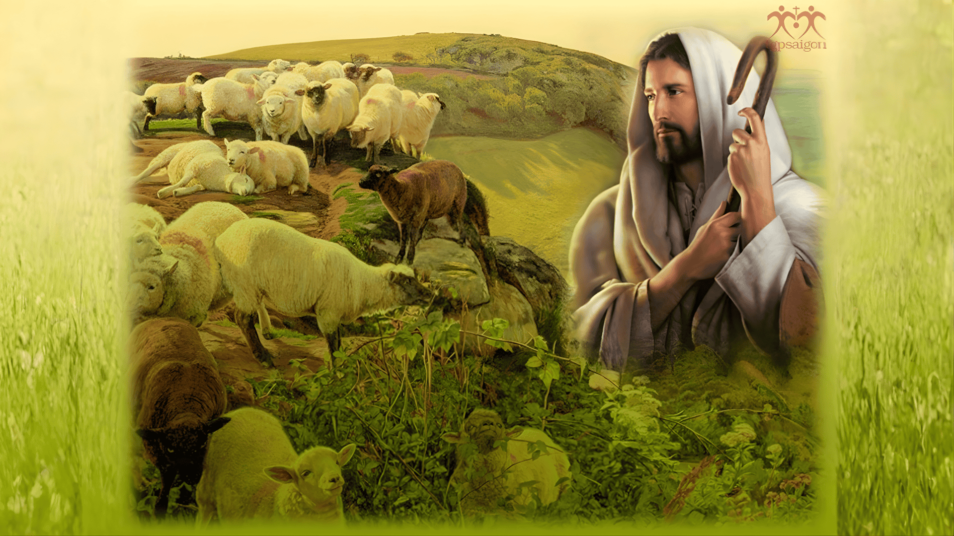 Bài giảng Chúa nhật: Chúa nhật 4 Phục sinh năm B