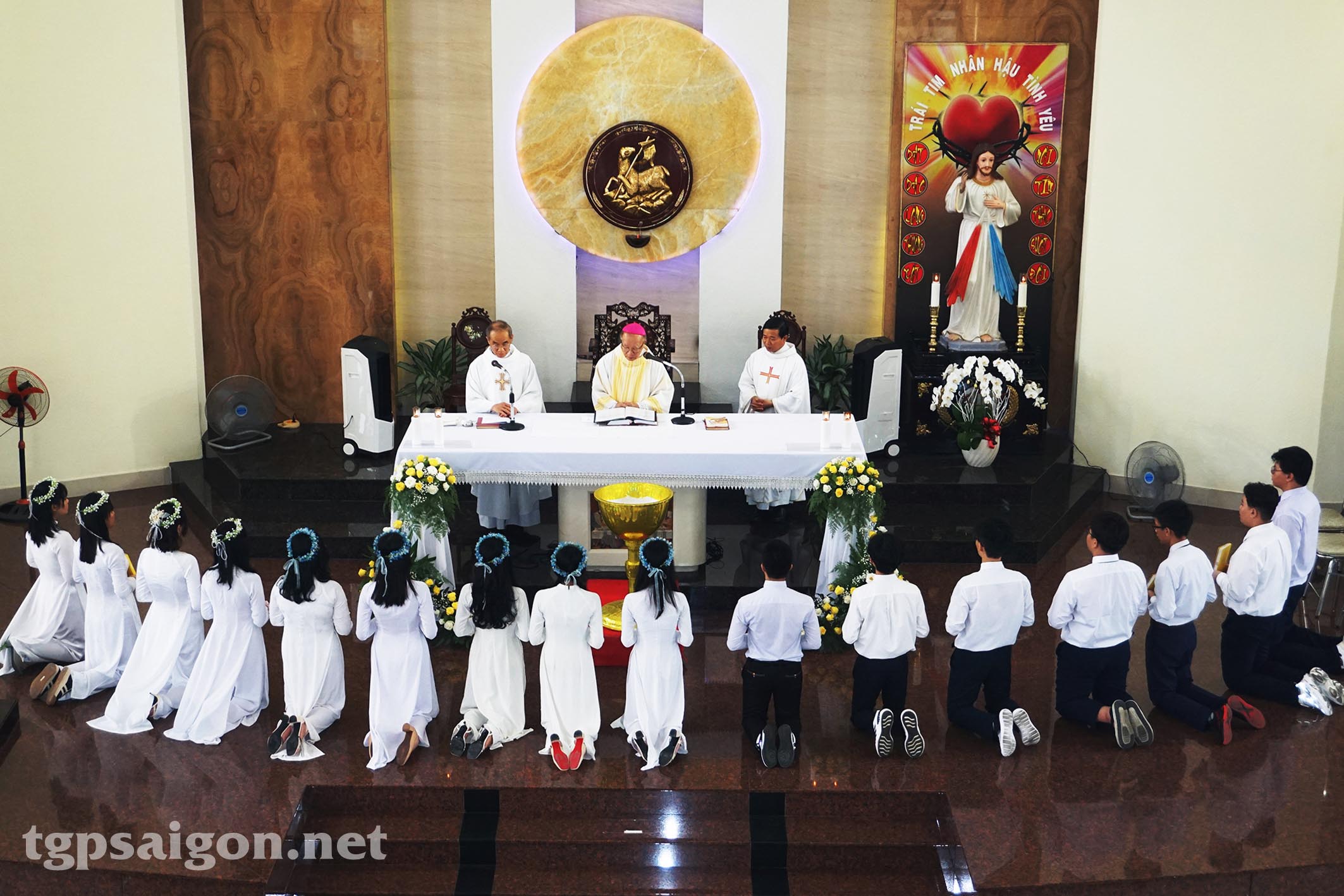 Giáo xứ Tân Thành: đón nhận hồng ân Thánh Thần 2022