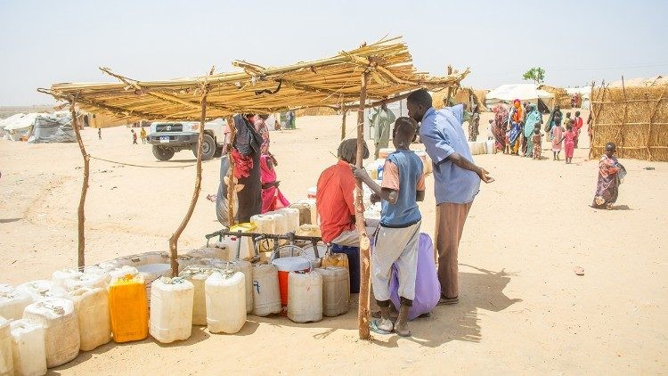 Caritas kêu gọi chống bạo lực toàn cầu nhân Ngày Thế giới Nhân đạo