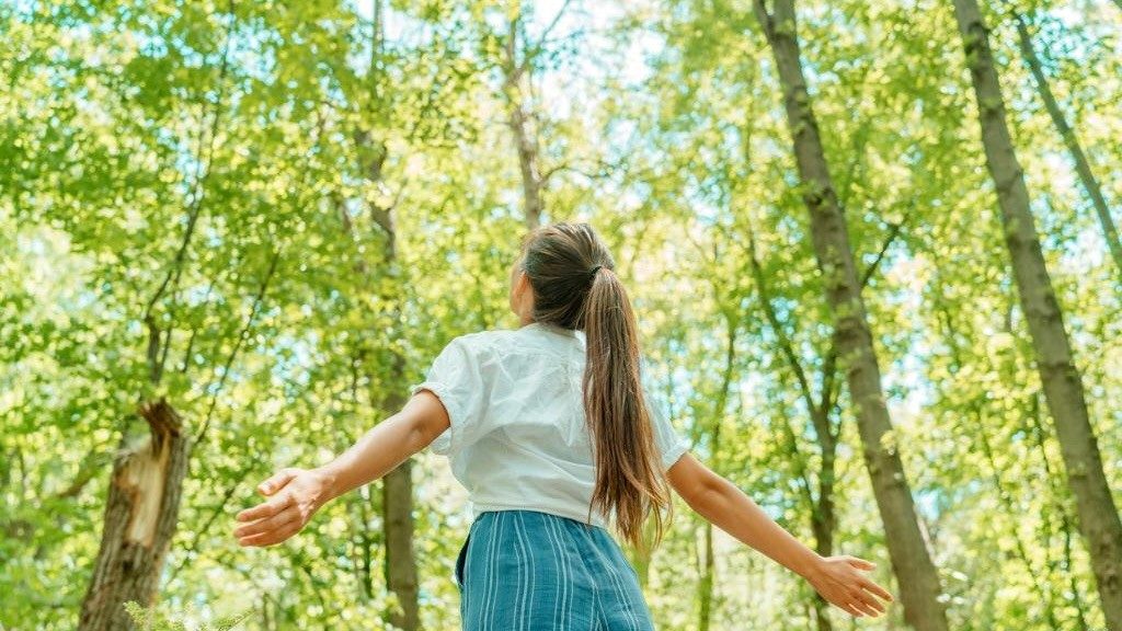 Các Giáo hội Kitô ở Châu Âu Kêu gọi “Hòa bình với Thụ tạo”