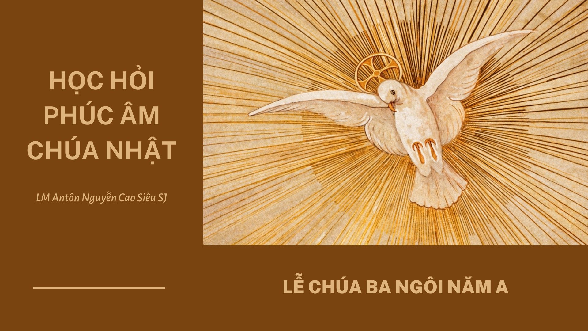 Học hỏi Phúc âm Lễ Chúa Thánh Thần Hiện Xuống Năm A
