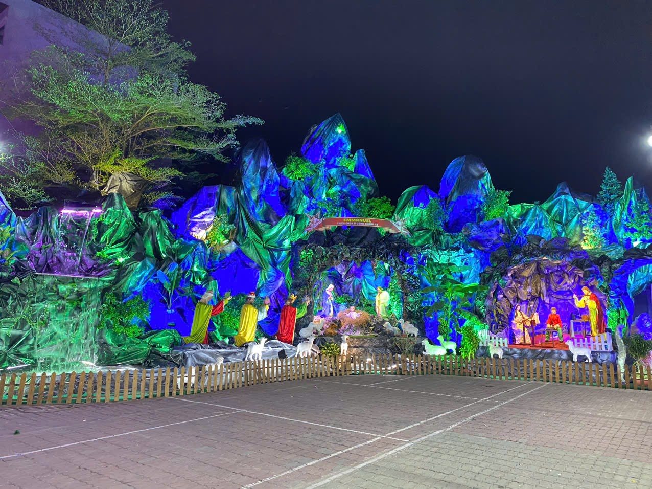 Hang đá và cây thông Giáng sinh: dấu chỉ của Đức Tin và Hy Vọng