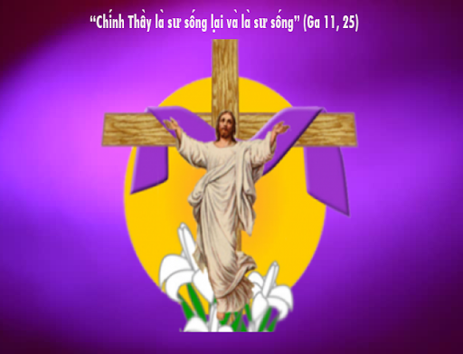 Cáo phó: Linh mục Luy Trần Phúc Vỵ qua đời 5g ngày 24-4-2020, Thánh lễ an táng 6g thứ Bảy 25-4-2020 tại nhà thờ Chí Hòa