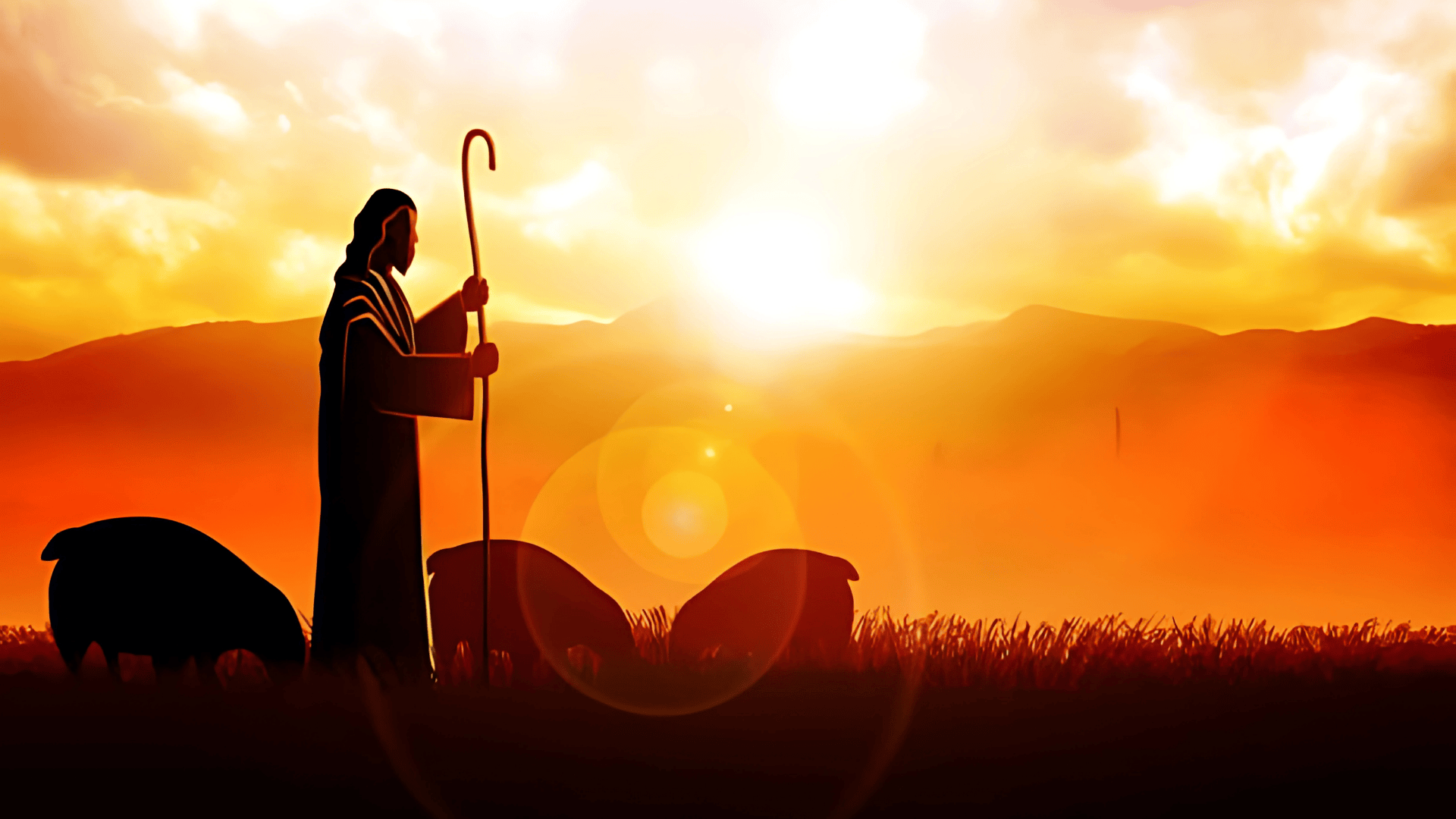 Bài giảng Chúa nhật: Chúa nhật 4 Phục sinh năm C