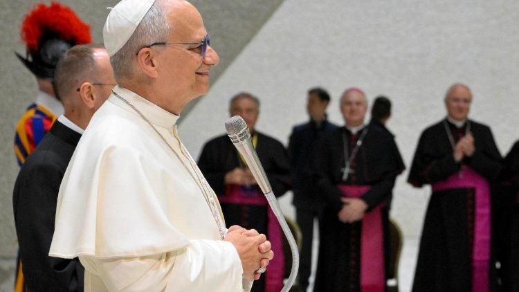 Đức Lêô XIV: Môn giáo lý giúp người trẻ biết lắng nghe con tim thao thức