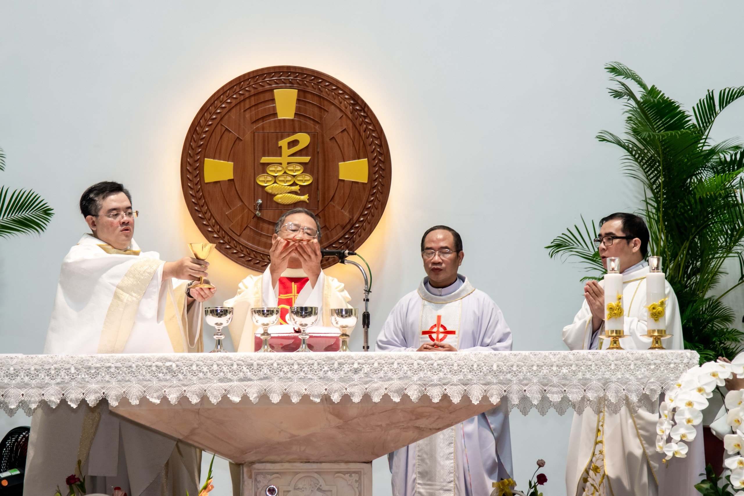 Giáo xứ Hòa Hưng: Mừng lễ Sinh nhật Thánh Gioan Tẩy Giả - Bổn mạng linh mục chánh xứ