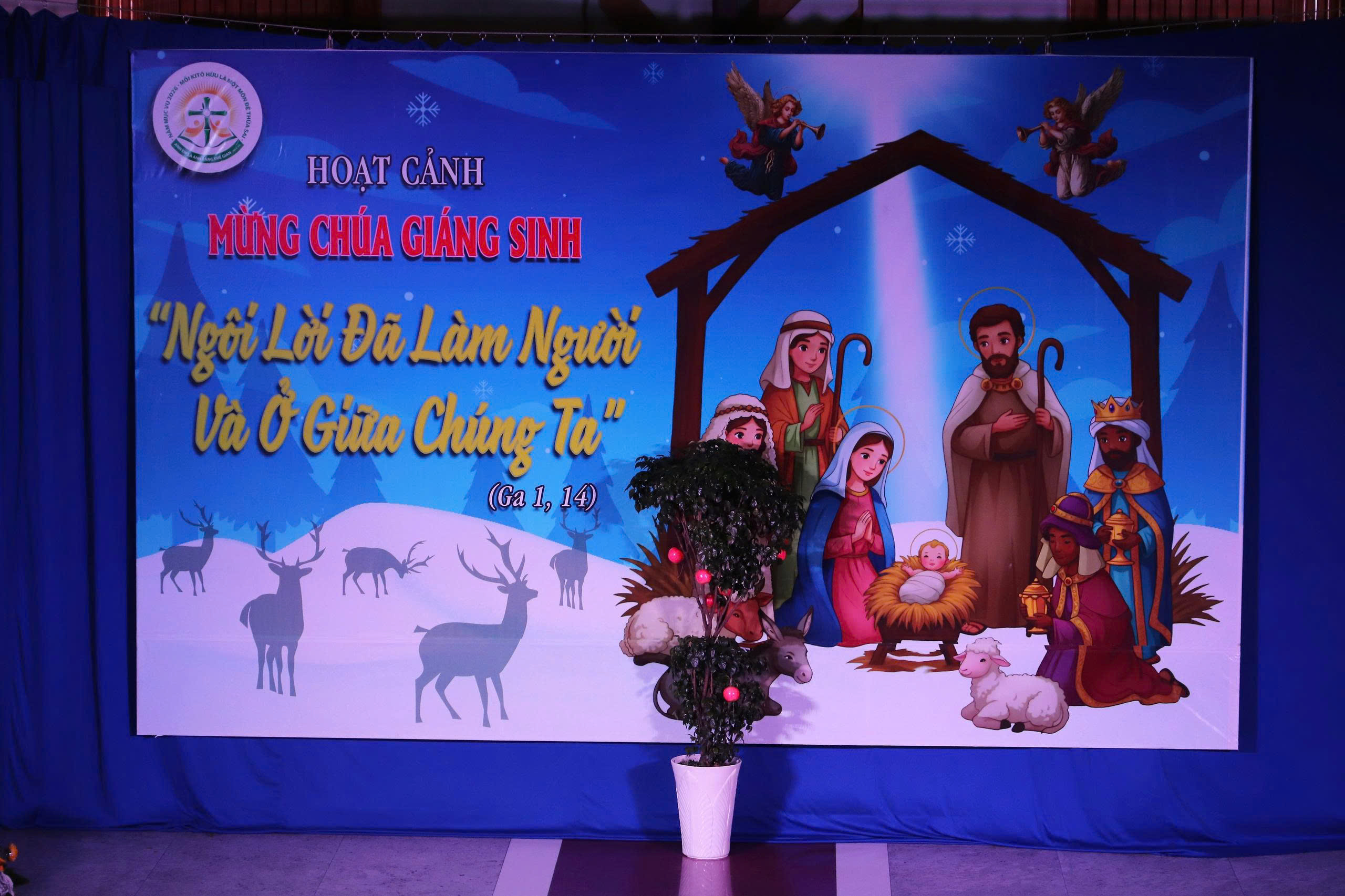 Giáo xứ Tân Đông: Thánh lễ Vọng Giáng Sinh - 2025