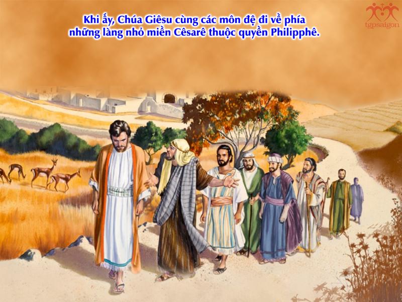 Chúa nhật 24 Thường niên năm B - Đức Kitô là ai đối với tôi? (Mc 8,27-35)