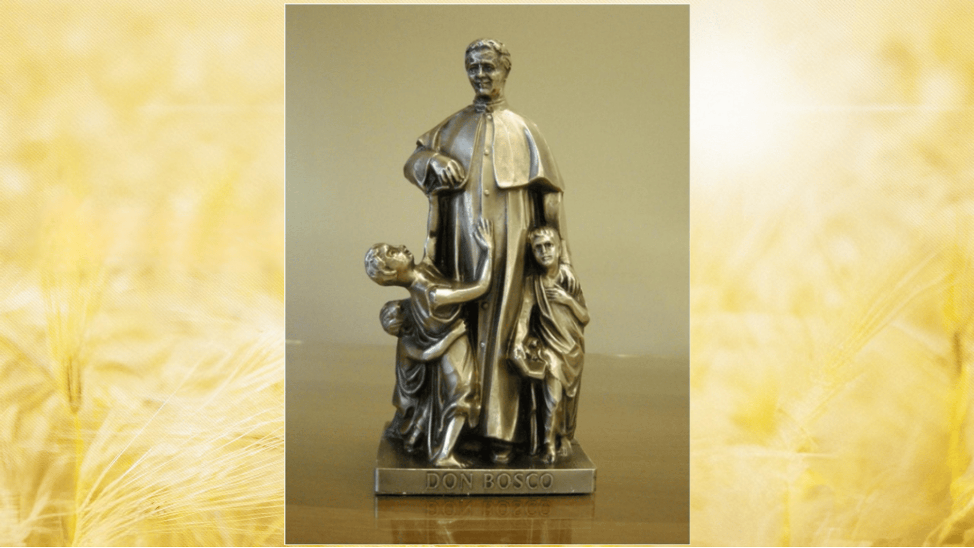 Chương trình nghinh đón Thánh tượng Don Bosco tại Úc châu