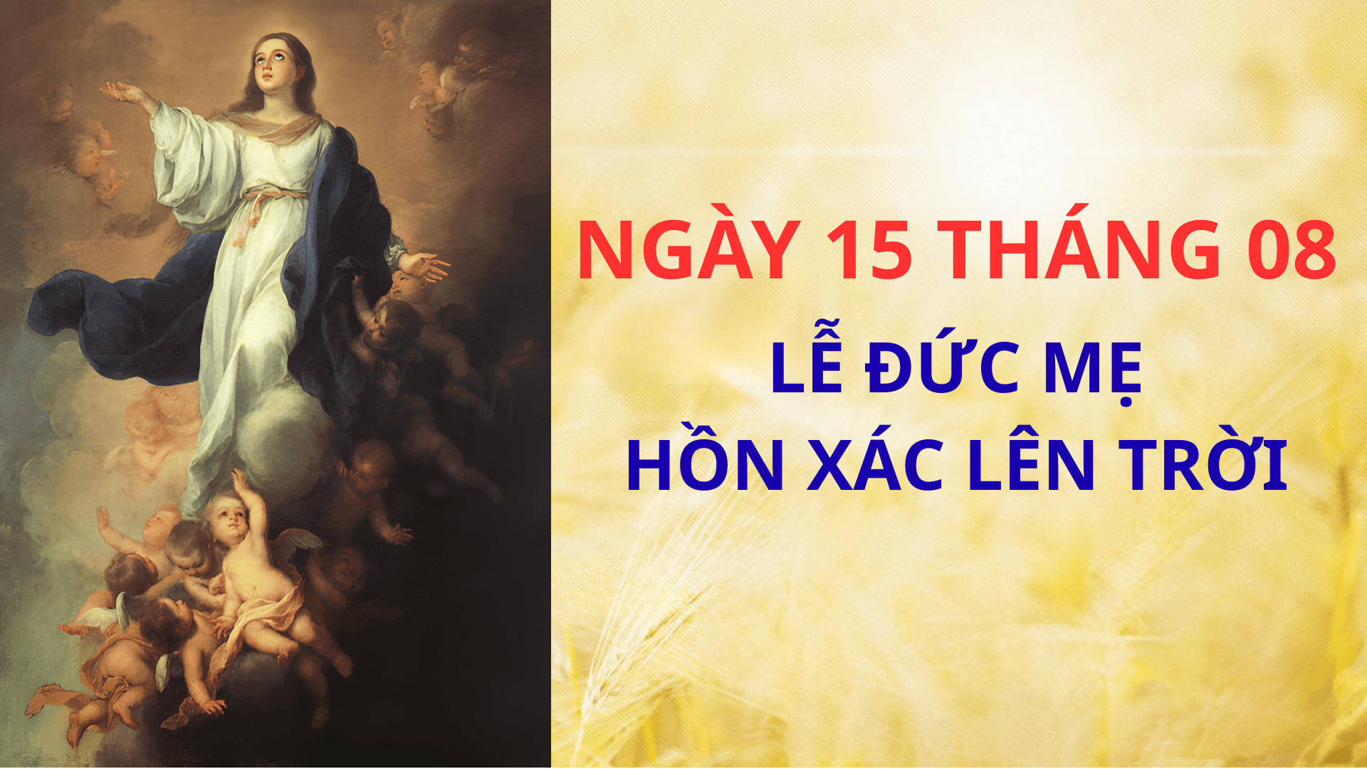 Ngày 15-8: Lễ Đức Mẹ Hồn Xác Lên Trời