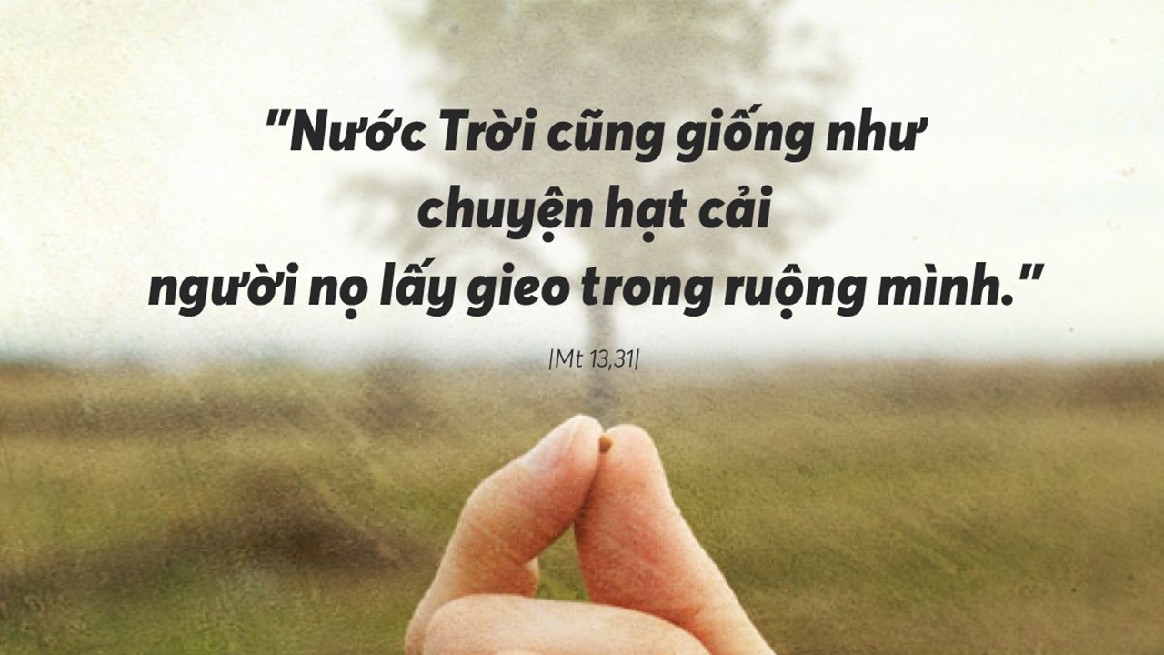 Thứ Hai tuần 17 Thường niên (+video)