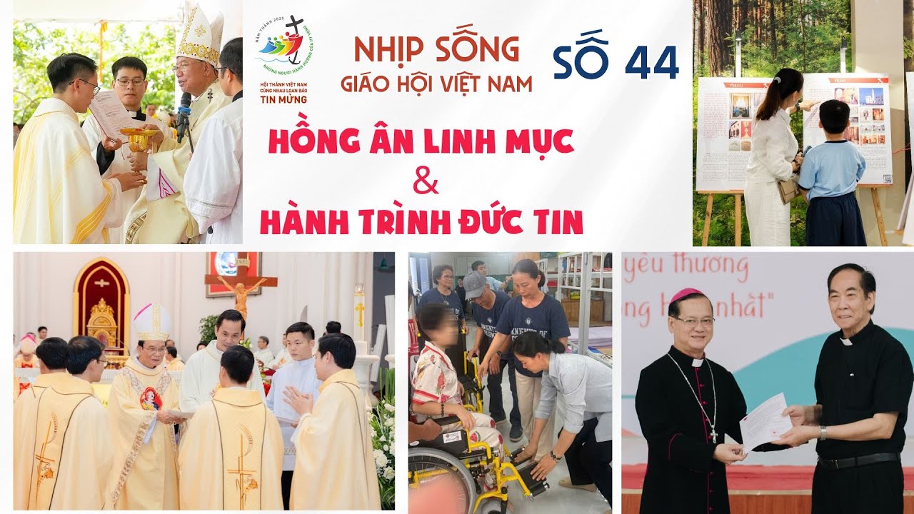 Hồng ân Linh mục và Hành trình đức tin: Nhịp sống Giáo hội Việt Nam số 44
