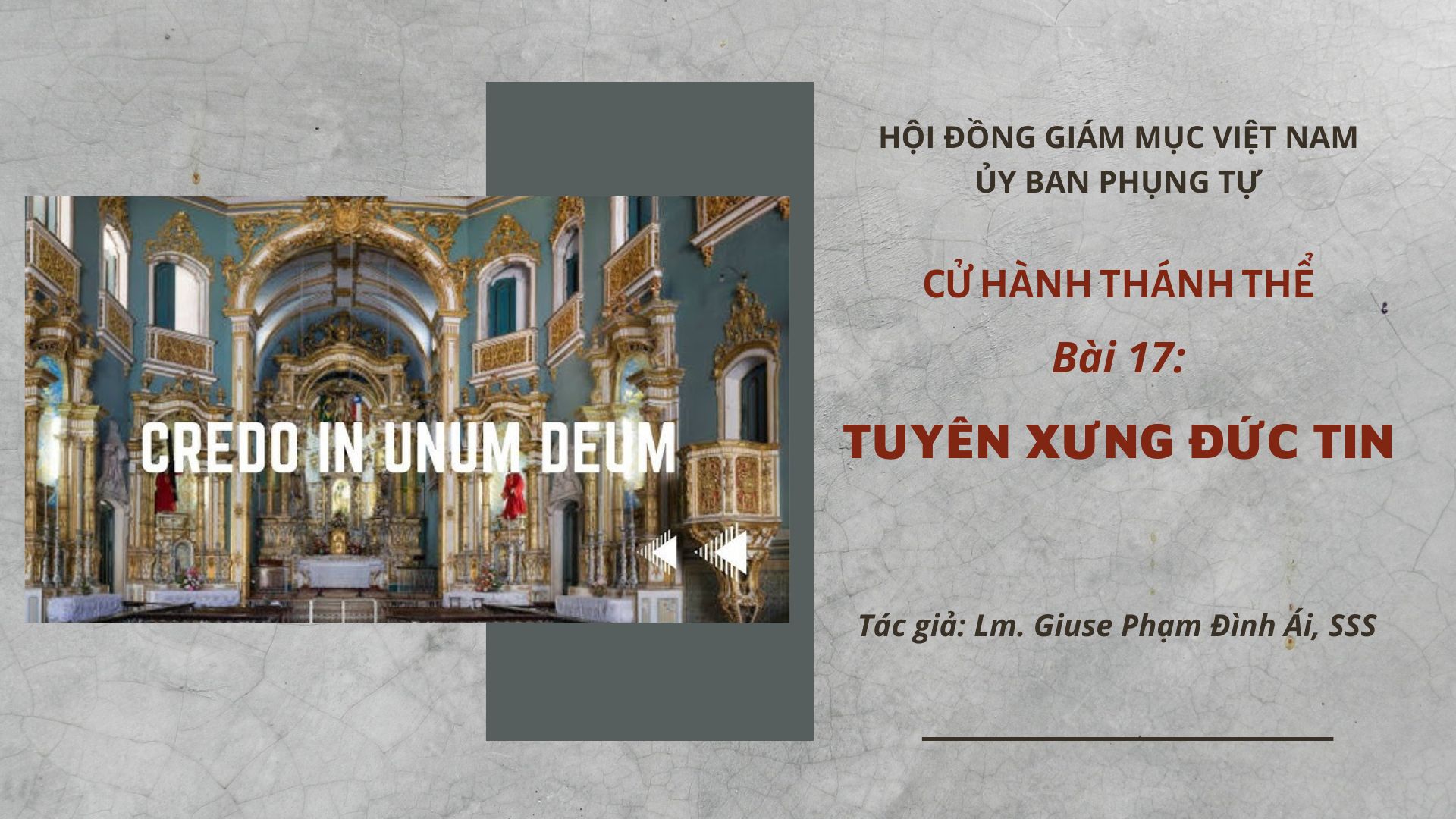 Cử hành Thánh Thể: Bài 17 - Tuyên xưng đức tin