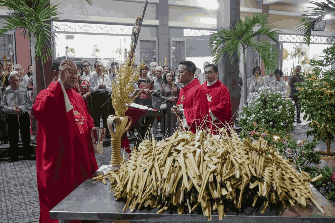 Giáo xứ Hòa Hưng: Thánh lễ Chúa nhật Lễ Lá, khai mạc Tuần Thánh 2026