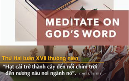 Suy niệm theo Phụng Vụ