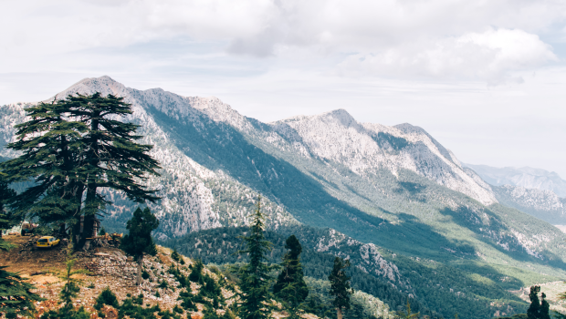 Bạn có biết Libăng được nhắc đến hơn 70 lần trong Kinh Thánh ?