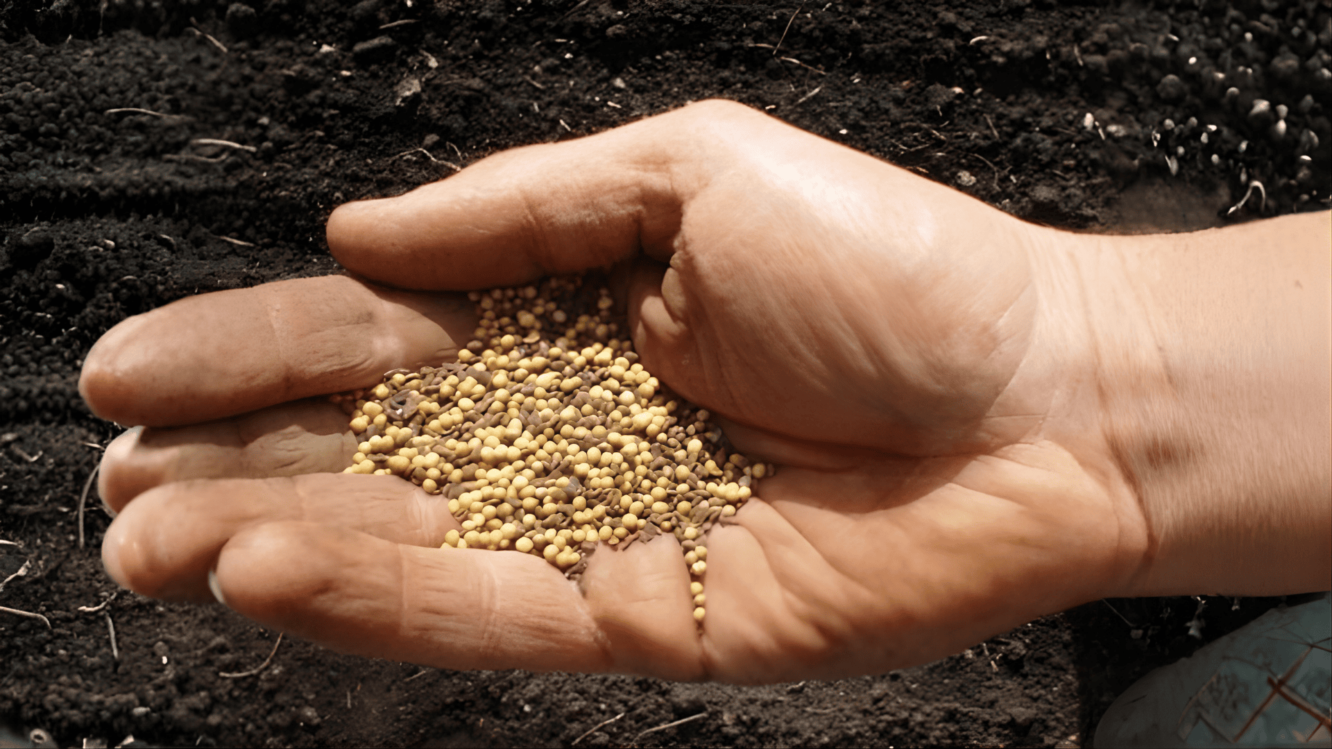 Bài giảng lễ Thiếu nhi: Chúa Nhật 27 Thường Niên - Năm C