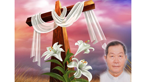 Lm Gioan Nguyễn Văn Ty SDB. qua đời. Lễ an táng 8g thứ  Bảy 1.2.2020 tại nt Xuân Hiệp, 54 đường số 5, Linh Xuân, Thủ Đức