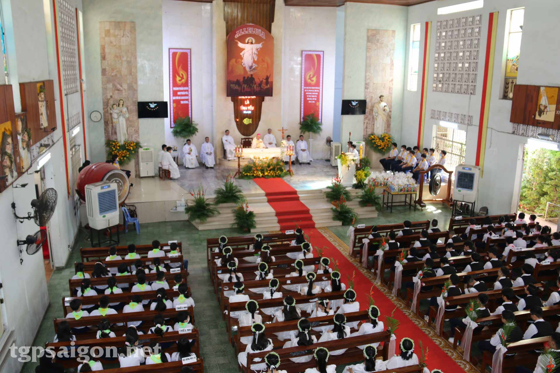 Giáo xứ Tân Trang: Hồng ân Chúa Thánh Thần 29-5-2022