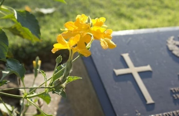 Bài 148: Mạc khải Kinh Thánh về Sự Chết | Dưới ánh sáng Lời Chúa