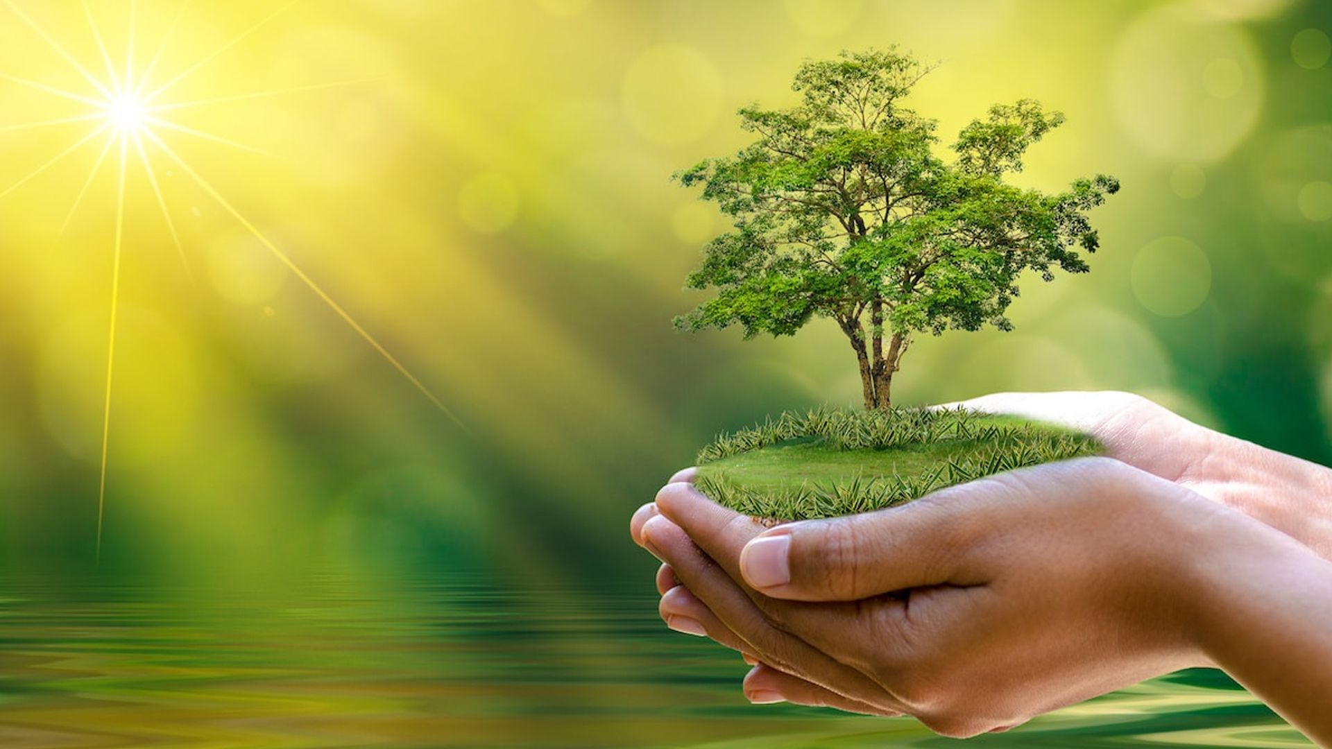 Thần học sinh thái qua lăng kính Giáo hội học